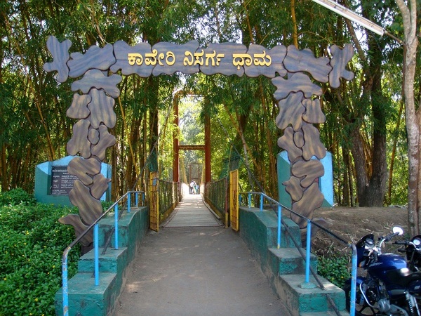 Mandalpatti Jeep Safari & Sightseeing | Tour Packages in Coorg | Best Tour Packages in Madikeri Coorg | Sightseeing Packages in Coorg | Best Travels in Coorg | Travel near me | Local Sightseeing in Coorg | Mandalpatti Jeep Safari | Best Jeep Safari in Coorg | Travels in Coorg | Travel Agency in Coorg | Best Travels in Coorg | Travel Agency in Madikeri | Local Sightseeing in Madikeri Coorg | Madalpatti Jeep Safari | Coorg tours | Madikeri sightseeing | Mandalpatti jeep safari | Coorg room booking | Kushalnagar sightseeing | Coorg outstation trips | Madikeri accommodation | Coorg pickup and drop services | Coorg travel packages | Sree Raksha Holidays Coorg | Coorg tourism | Coorg travel packages | Madikeri sightseeing | Mandalpatti jeep safari | Coorg waterfalls (e.g., Abbey Falls, Irupu Falls) | Coorg coffee plantations | Coorg homestays | Coorg adventure tours | Coorg trekking (Tadiandamol Peak, Brahmagiri) | Coorg wildlife sanctuaries (Nagarahole, Pushpagiri) | Coorg cultural tours (Kodava culture, temples, monasteries) | Coorg eco-tourism | Coorg nature tours | Coorg family holidays | Coorg outstation trips | Kushalnagar sightseeing | Dubare Elephant Camp | Coorg room booking | Coorg pickup and drop services | Coorg honeymoon packages | Best time to visit Coorg | Coorg local cuisine | Sustainable tourism Coorg | Coorg travel guide | Coorg weekend trips from Bangalore