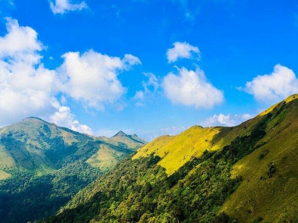 Mandalpatti Jeep Safari & Sightseeing | Tour Packages in Coorg | Best Tour Packages in Madikeri Coorg | Sightseeing Packages in Coorg | Best Travels in Coorg | Travel near me | Local Sightseeing in Coorg | Mandalpatti Jeep Safari | Best Jeep Safari in Coorg | Travels in Coorg | Travel Agency in Coorg | Best Travels in Coorg | Travel Agency in Madikeri | Local Sightseeing in Madikeri Coorg | Madalpatti Jeep Safari | Coorg tours | Madikeri sightseeing | Mandalpatti jeep safari | Coorg room booking | Kushalnagar sightseeing | Coorg outstation trips | Madikeri accommodation | Coorg pickup and drop services | Coorg travel packages | Sree Raksha Holidays Coorg | Coorg tourism | Coorg travel packages | Madikeri sightseeing | Mandalpatti jeep safari | Coorg waterfalls (e.g., Abbey Falls, Irupu Falls) | Coorg coffee plantations | Coorg homestays | Coorg adventure tours | Coorg trekking (Tadiandamol Peak, Brahmagiri) | Coorg wildlife sanctuaries (Nagarahole, Pushpagiri) | Coorg cultural tours (Kodava culture, temples, monasteries) | Coorg eco-tourism | Coorg nature tours | Coorg family holidays | Coorg outstation trips | Kushalnagar sightseeing | Dubare Elephant Camp | Coorg room booking | Coorg pickup and drop services | Coorg honeymoon packages | Best time to visit Coorg | Coorg local cuisine | Sustainable tourism Coorg | Coorg travel guide | Coorg weekend trips from Bangalore